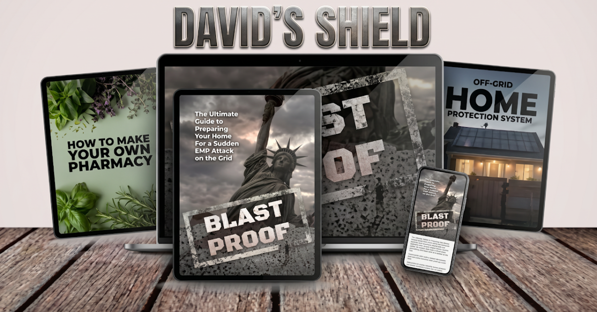 David’s Shield Reviews